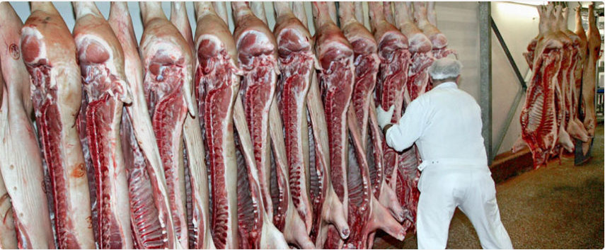 Ανάκαμψη για τις εξαγωγές ευρωπαϊκού χοιρινού