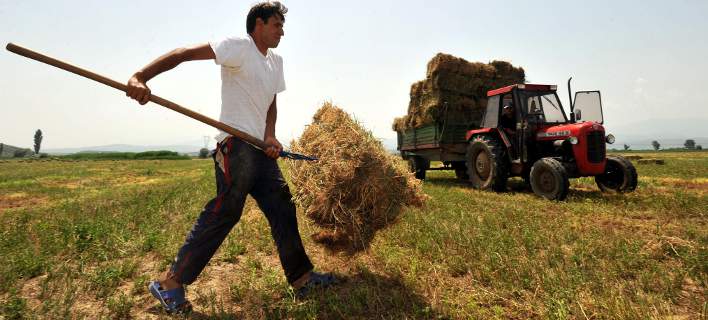 Ελληνικό application λύνει τα χέρια των γεωργών