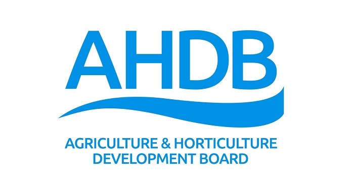 AHDB: 1ο τρίμηνο 2024 Κόστος παραγωγής χοιρινού κρέατος