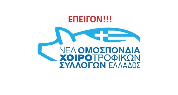 Ετήσια απογραφή 2020