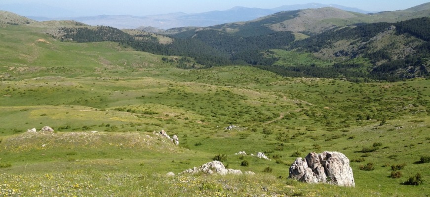 Έως 11 Απριλίου οι αιτήσεις για τη Βιολογική Κτηνοτροφία