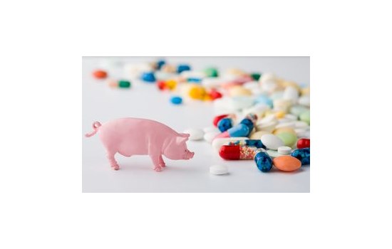 Σύντομα νέοι κανόνες για κτηνιατρικά φάρμακα και φαρμακούχες ζωοτροφές